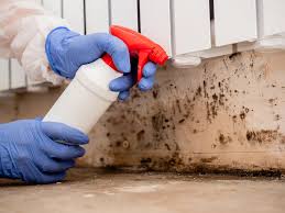 Best Basement Mold Removal  in River Park, FL